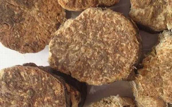 阿魏钓鱼怎么用?