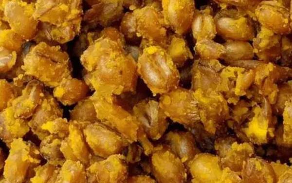 钓大鱼用什么饵料好?