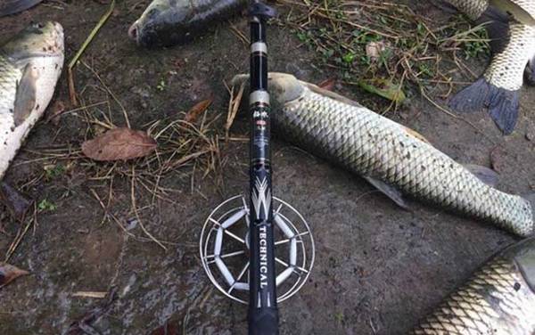 水库钓大鱼用玉米还是饵料好?