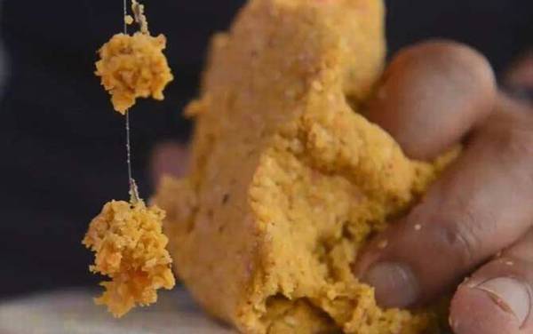 钓鱼用什么鱼饵最好?