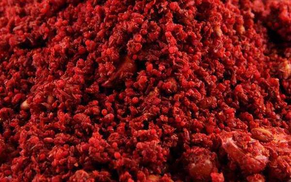 冬天什么打窝最诱鱼?