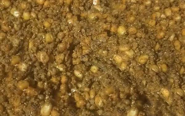 钓鱼窝料是什么意思?