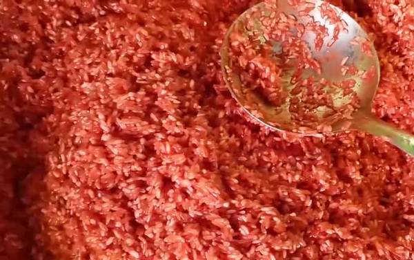 酒米打窝钓引诱哪些鱼?