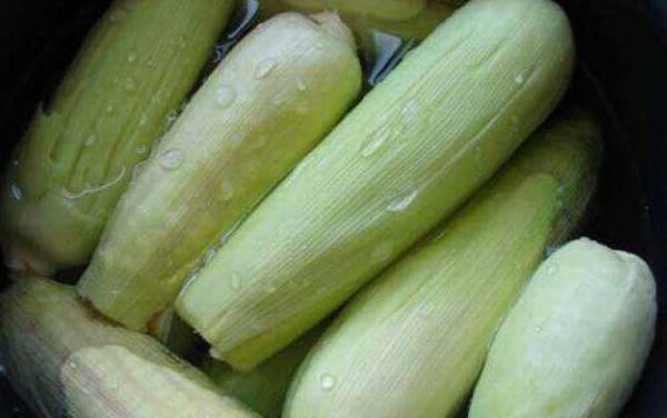 玉米煮多久会熟?