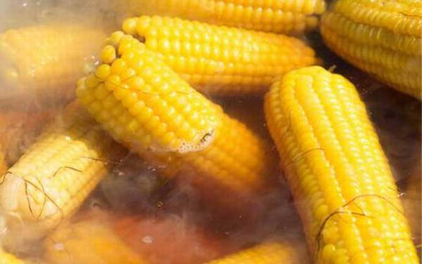 玉米煮多久会熟?