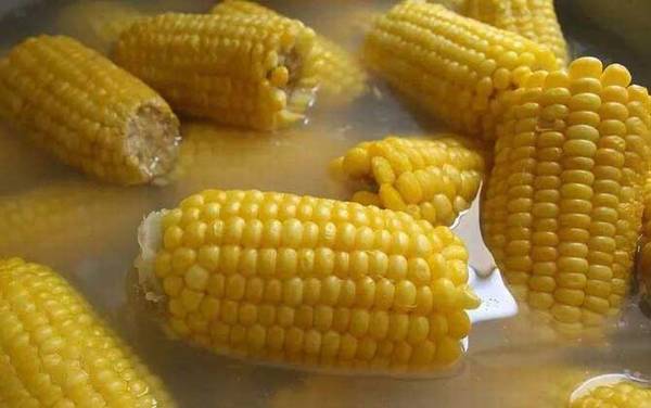 玉米煮多久会熟?