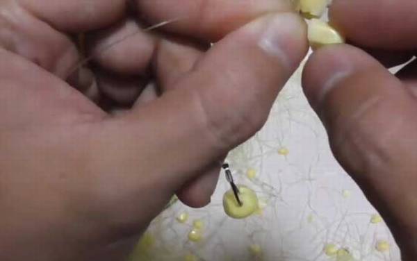 用玉米钓鱼要煮熟吗?