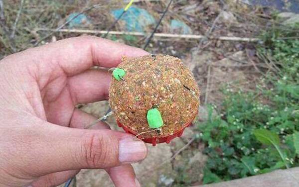 爆炸钩用什么饵料最好?