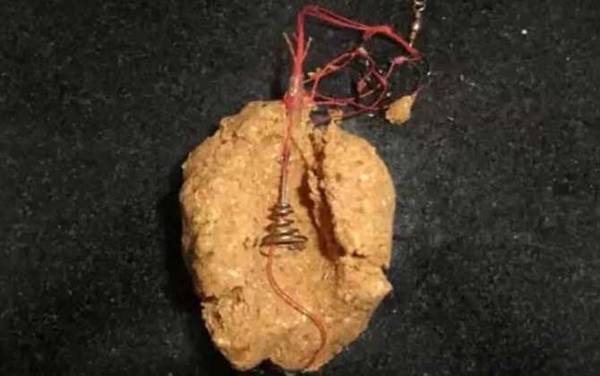 爆炸钩用什么饵料最好?