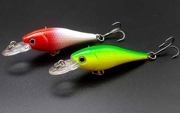 钓鲈鱼的最佳假饵是什么?