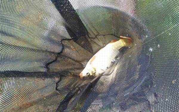 ������������䷽��ȫ