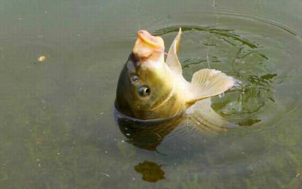 ������������䷽��ȫ