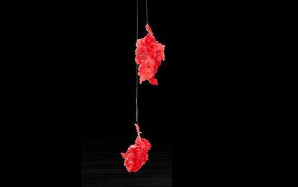 拉饵开饵技巧及注意事项