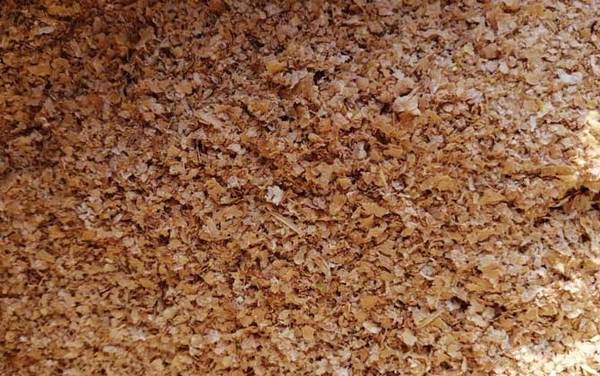 麸皮和轻麸有什么区别?