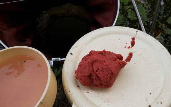 拉饵拉不起来是什么原因?