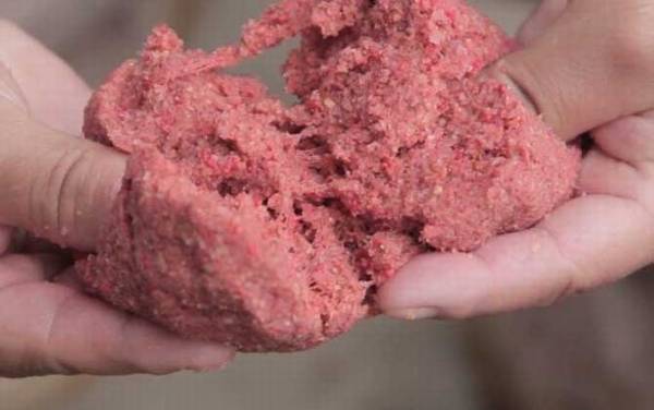 拉饵拉不起来是什么原因?