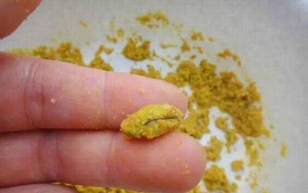 钓鱼搓饵技巧及注意事项