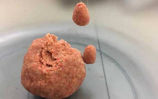 用什么鱼饵能钓大鲫鱼?