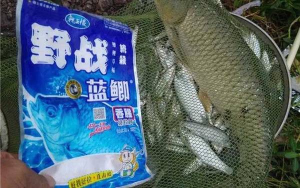 蓝鲫经典配方老三样怎么配比?