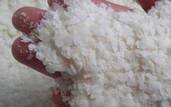 钓鱼雪花粉是什么东西?