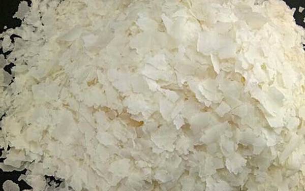 钓鱼雪花粉是什么东西?