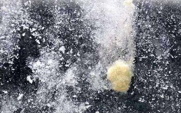 钓鱼雪花粉起什么作用?