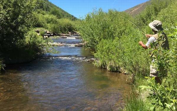 夏季钓鱼用什么鱼饵?