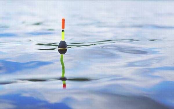 夏季钓鱼用什么鱼饵?