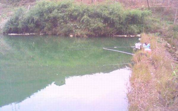 冬季钓鱼用什么鱼饵?