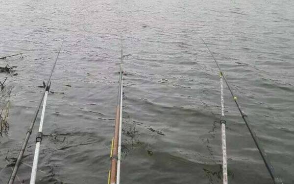 水库钓鱼用什么饵料?