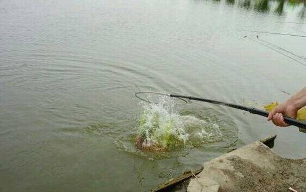 水库钓鱼用什么饵料?