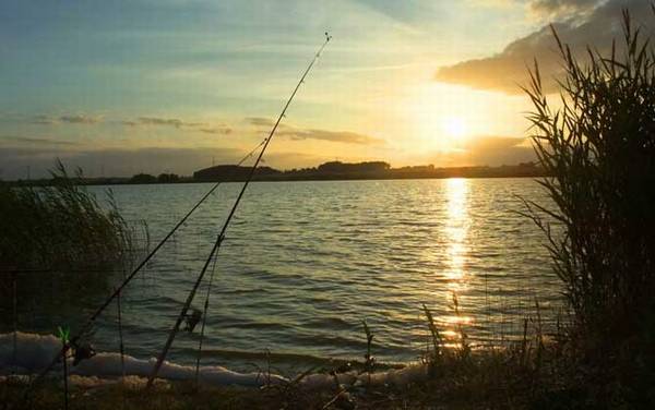 水库钓鱼用什么饵料?