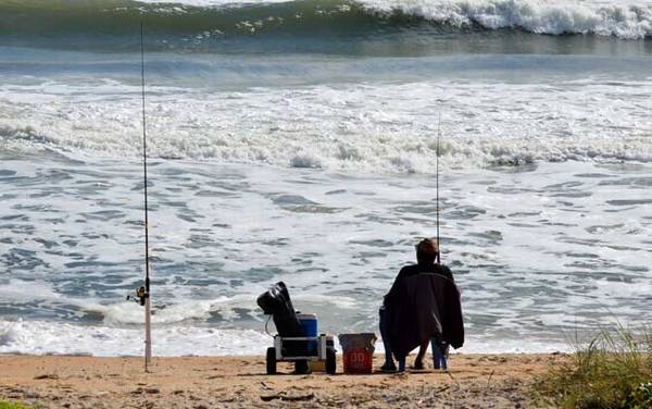 钓鱼小药哪种最好?