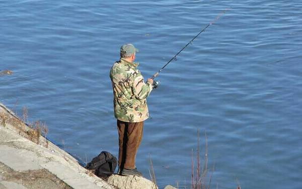 钓鱼小药哪种最好?