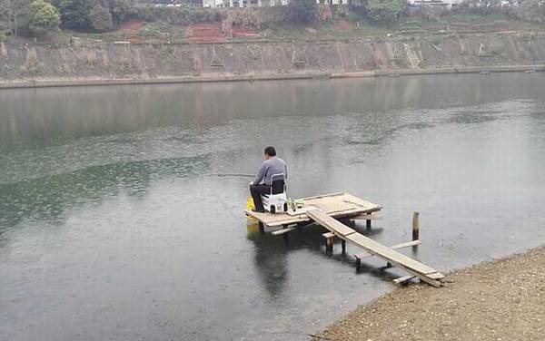 钓鱼小药哪种最好?