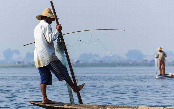 钓鱼小药哪种最好?