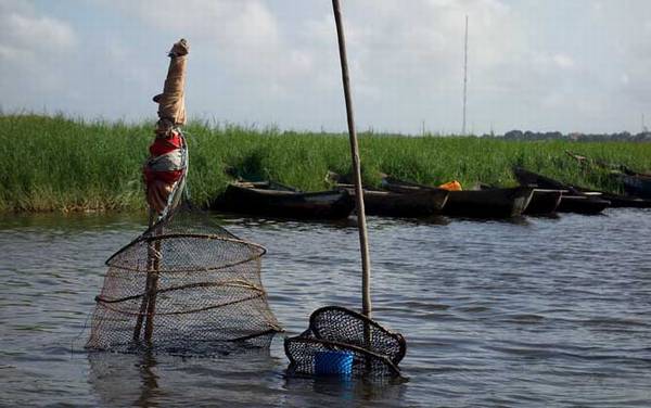 钓鱼小药哪种最好?