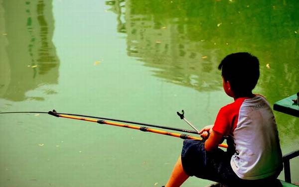 丁香油钓鱼饵料怎么制作?
