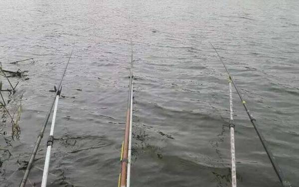 自制钓鱼药酒配方大全