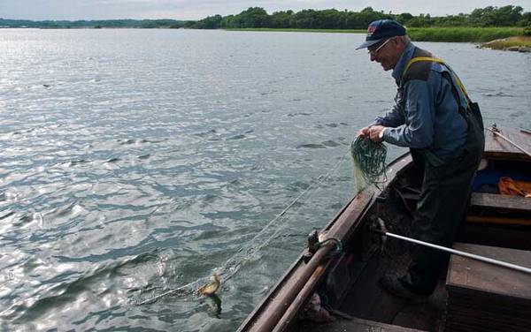 筏钓用什么饵料?