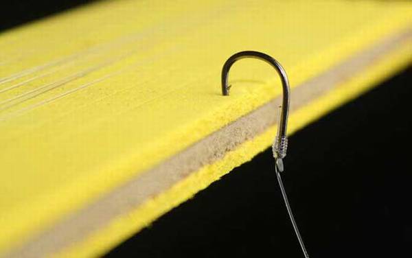 3.0子线能钓多大的鱼?