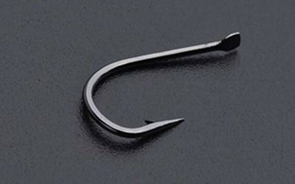 钓鲤鱼用几号伊豆钩?