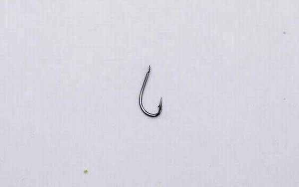 伊豆1号钩钓多大鱼?