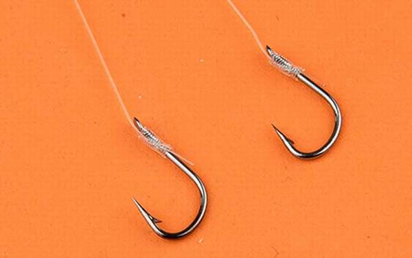 伊势尼10号钩钓多大鱼?