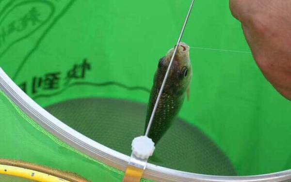 鱼护挡针怎么用?