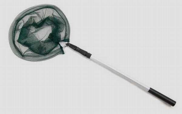 钓鱼必须要用抄网吗?