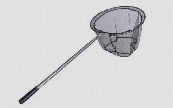 钓鱼必须要用抄网吗?