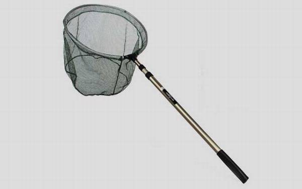 钓鱼必须要用抄网吗?