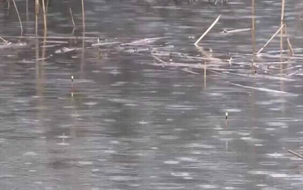 春季钓鱼用多大的主线和子线?