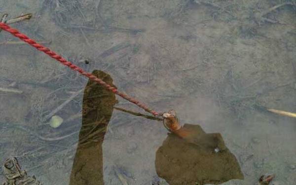 不易脱钩的黄鳝钩怎么做?